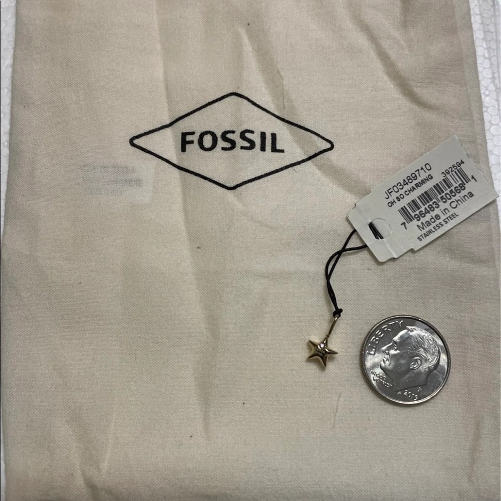 Fossil charm